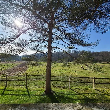 Lovely In Orval With Garden Casa de Férias *