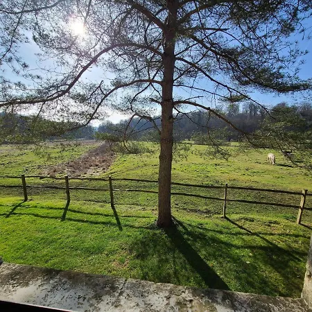 Holiday home Lovely In Orval With Garden *