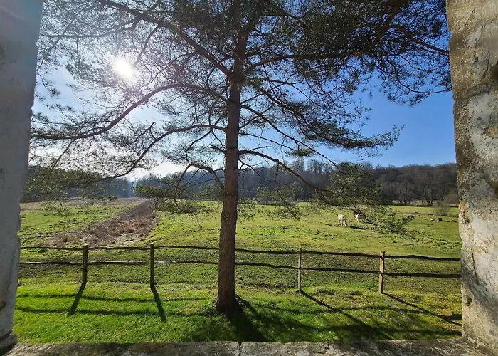 Lovely In Orval With Garden Ferienhaus *